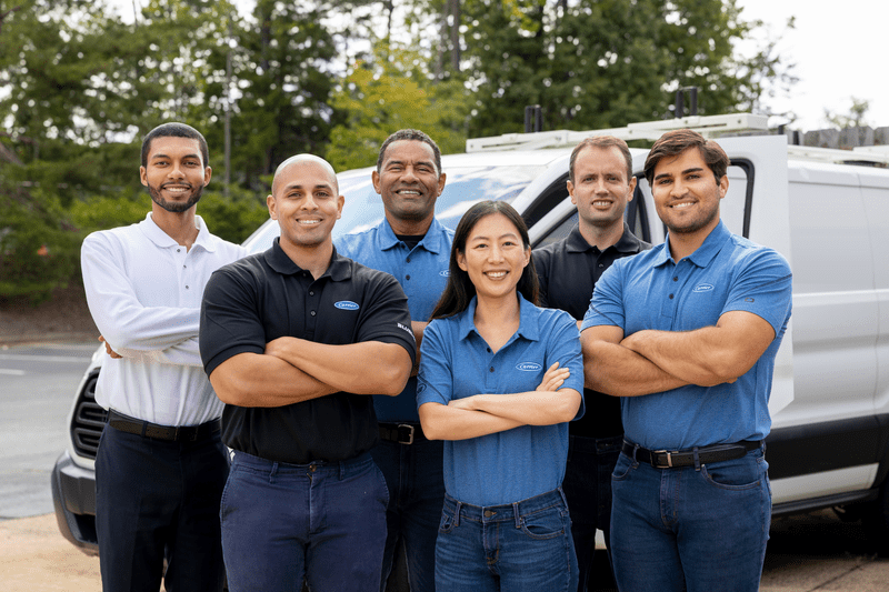 Local experts